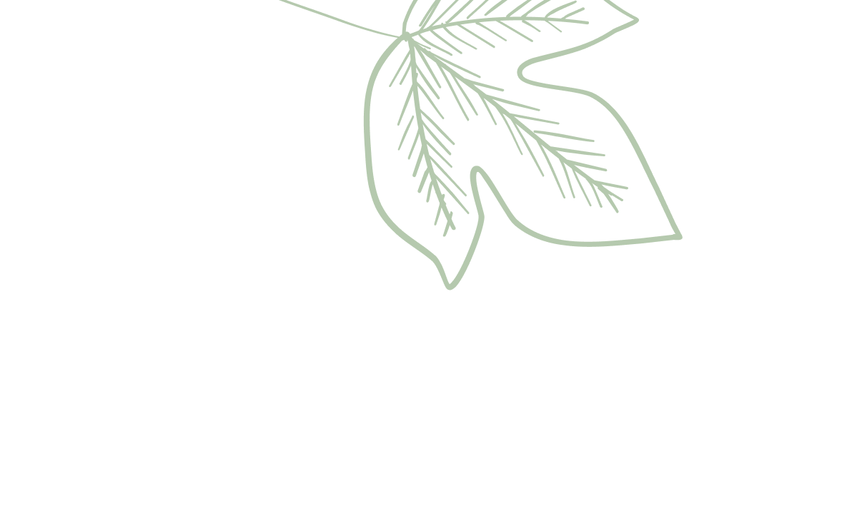 Group-1000002771-2.png